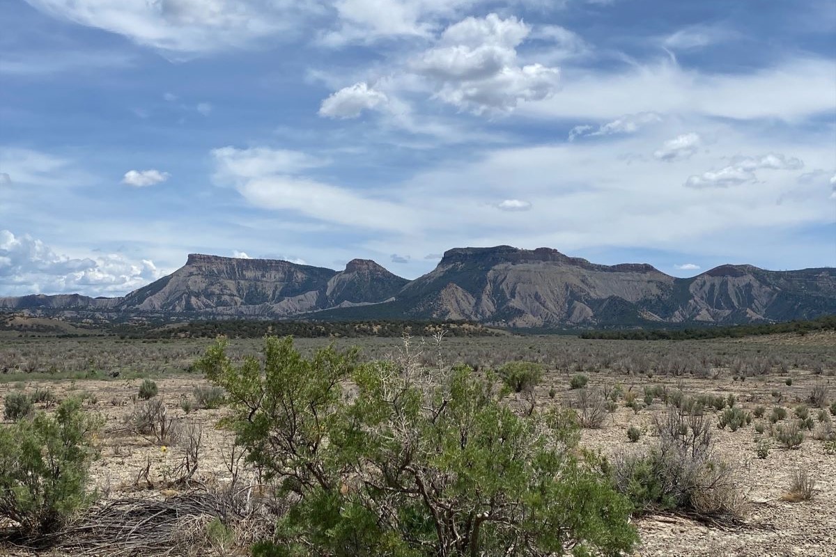 View of the Mesa Verde National Park escarpment from the Boren conservation easement in Montezuma County, Colorado.