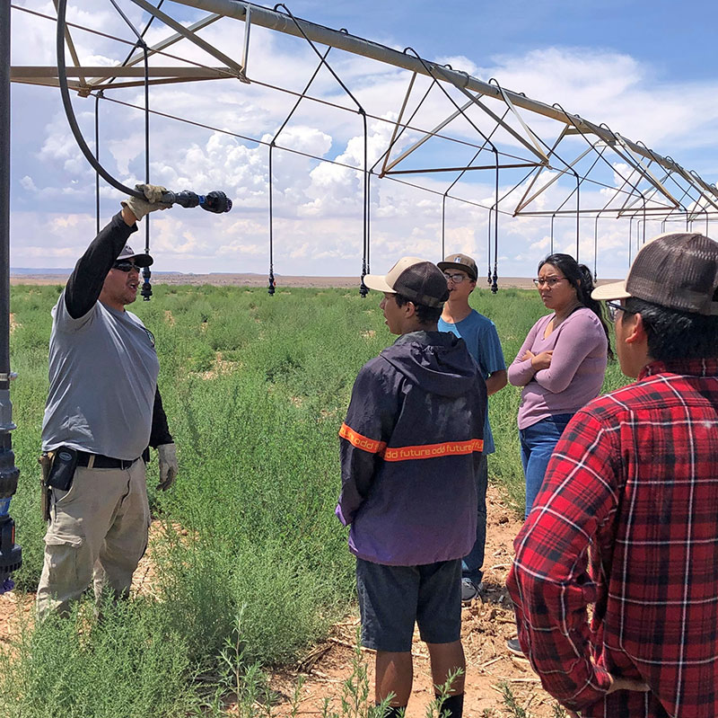 young farmers learning about irrigation